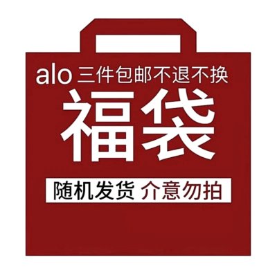 Alo Hoodie