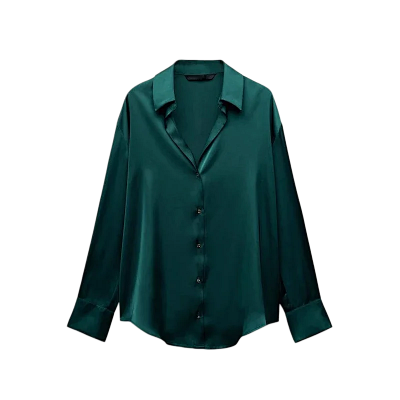 Zara Shirt