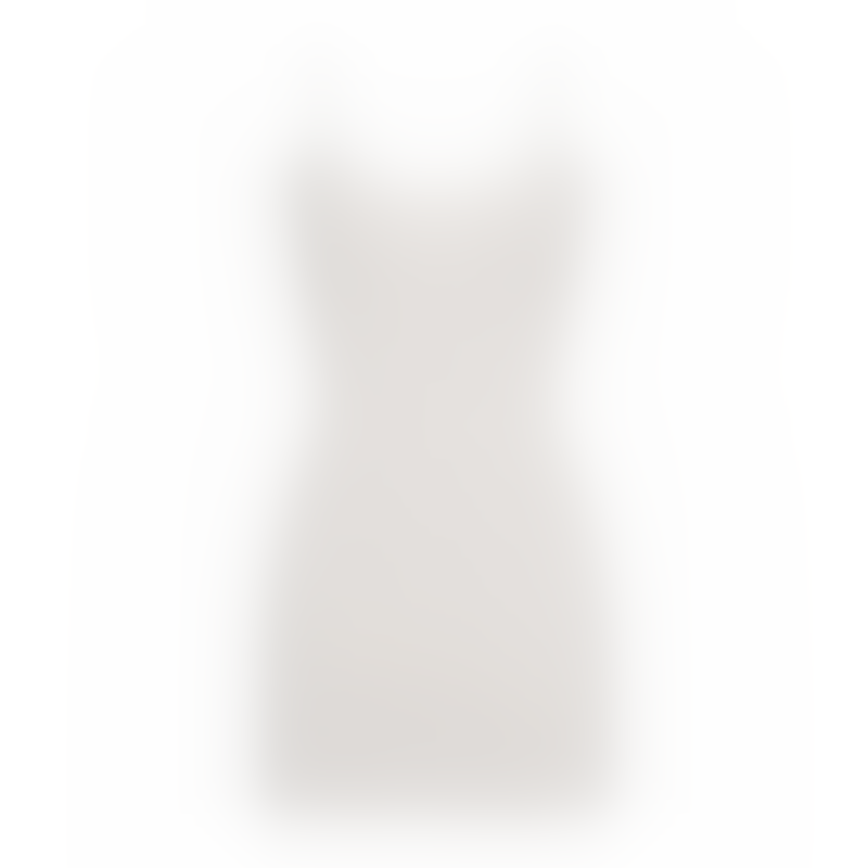 Skims Dress