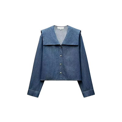 Zara Shirt