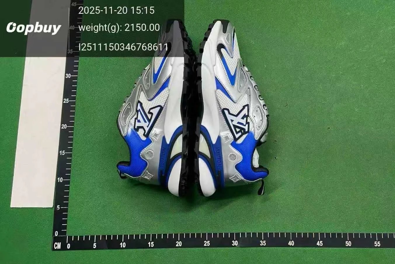 Louis Vuitton Sneakers Mesh Low-Top image 10