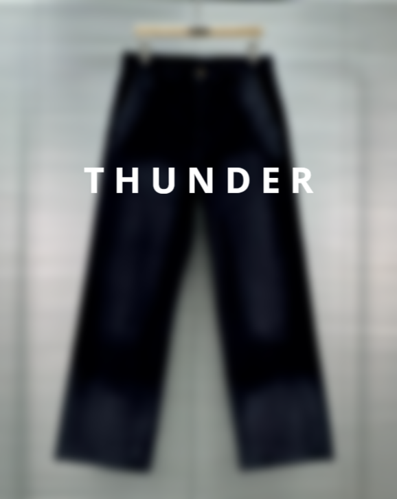 Velvet pants
