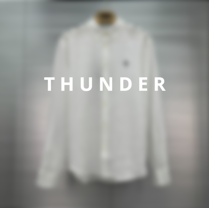 Pony Embroidery Full Linen Long Sleeve Shirt