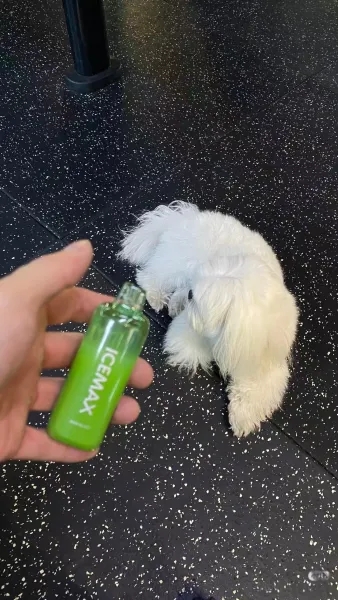 ICEMAX Watermelon Ice Disposable Vape - 6