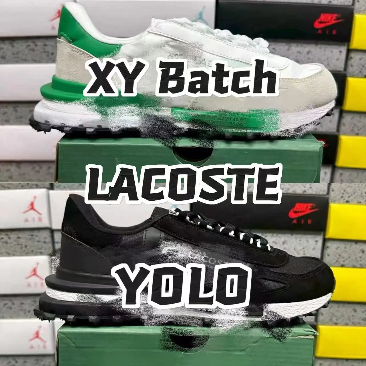 【XY版】LACOSTE/