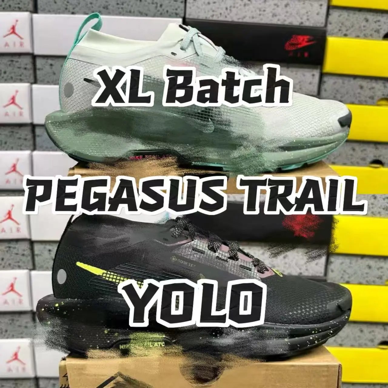 【XL版】PEGASUS TRAIL 5 GTX
