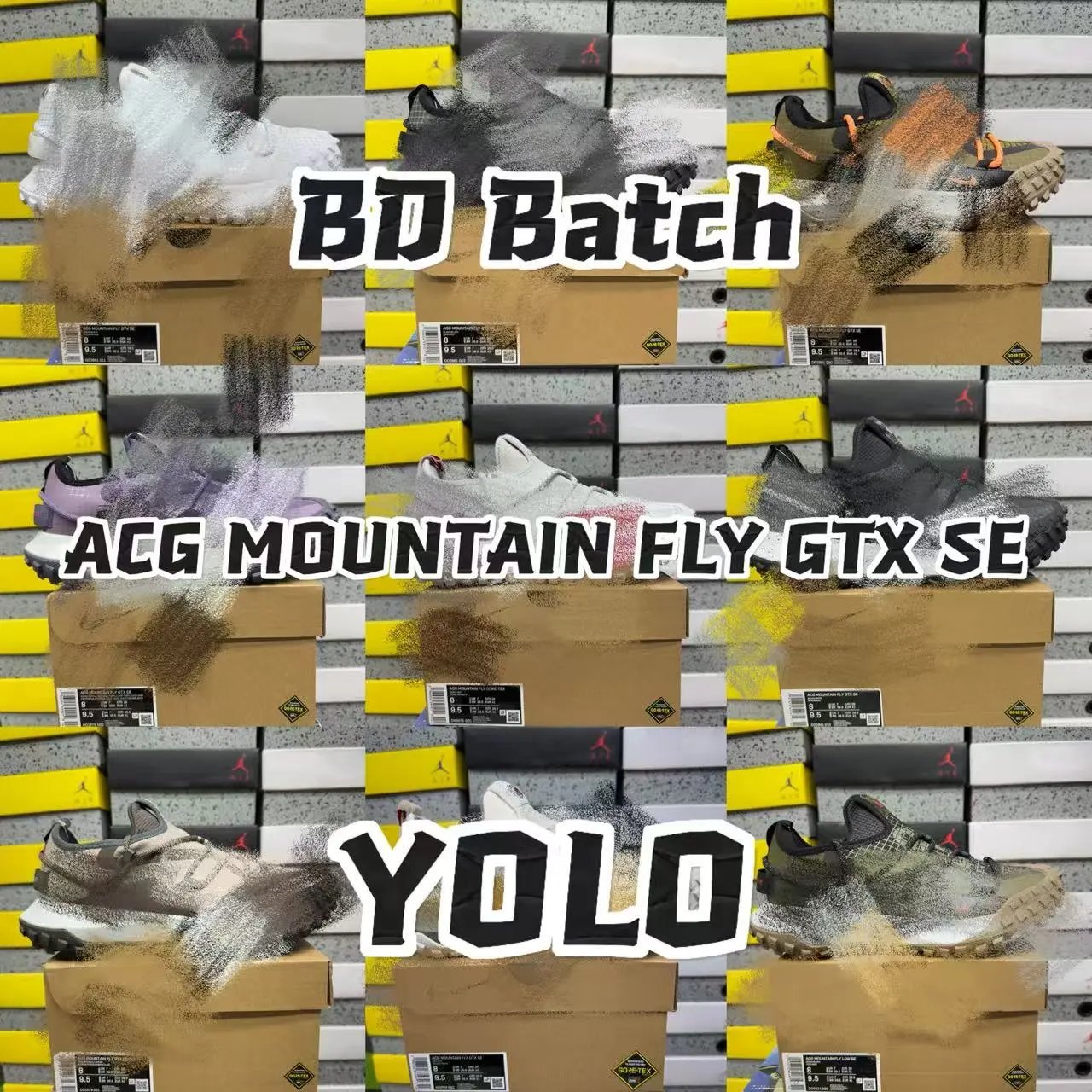【BD版】ACG MOUNTAIN FLY GTX SE/