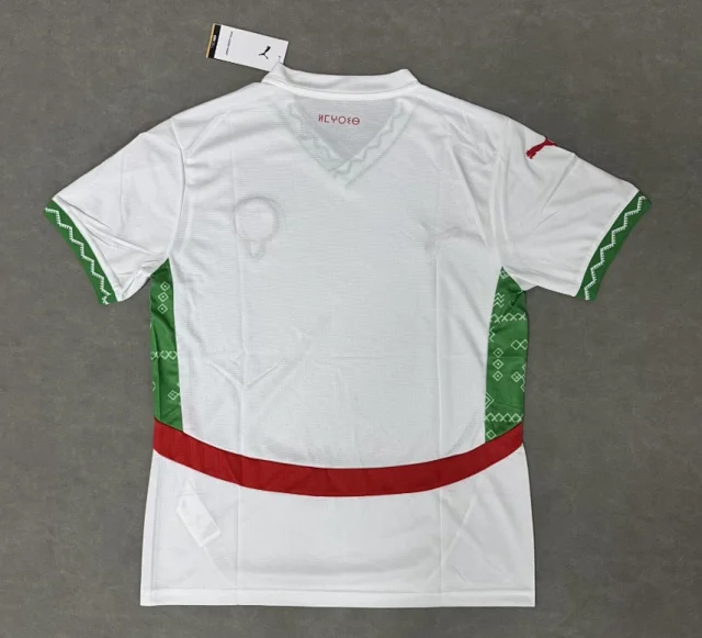 Puma Football Jerseys Short-sleeve jersey product detail image 4