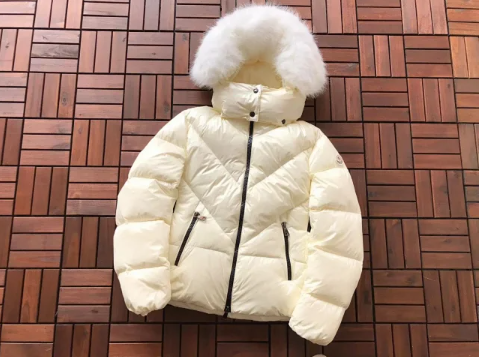 Moncler Down Jackets Hooded Puffer Jacket image 9