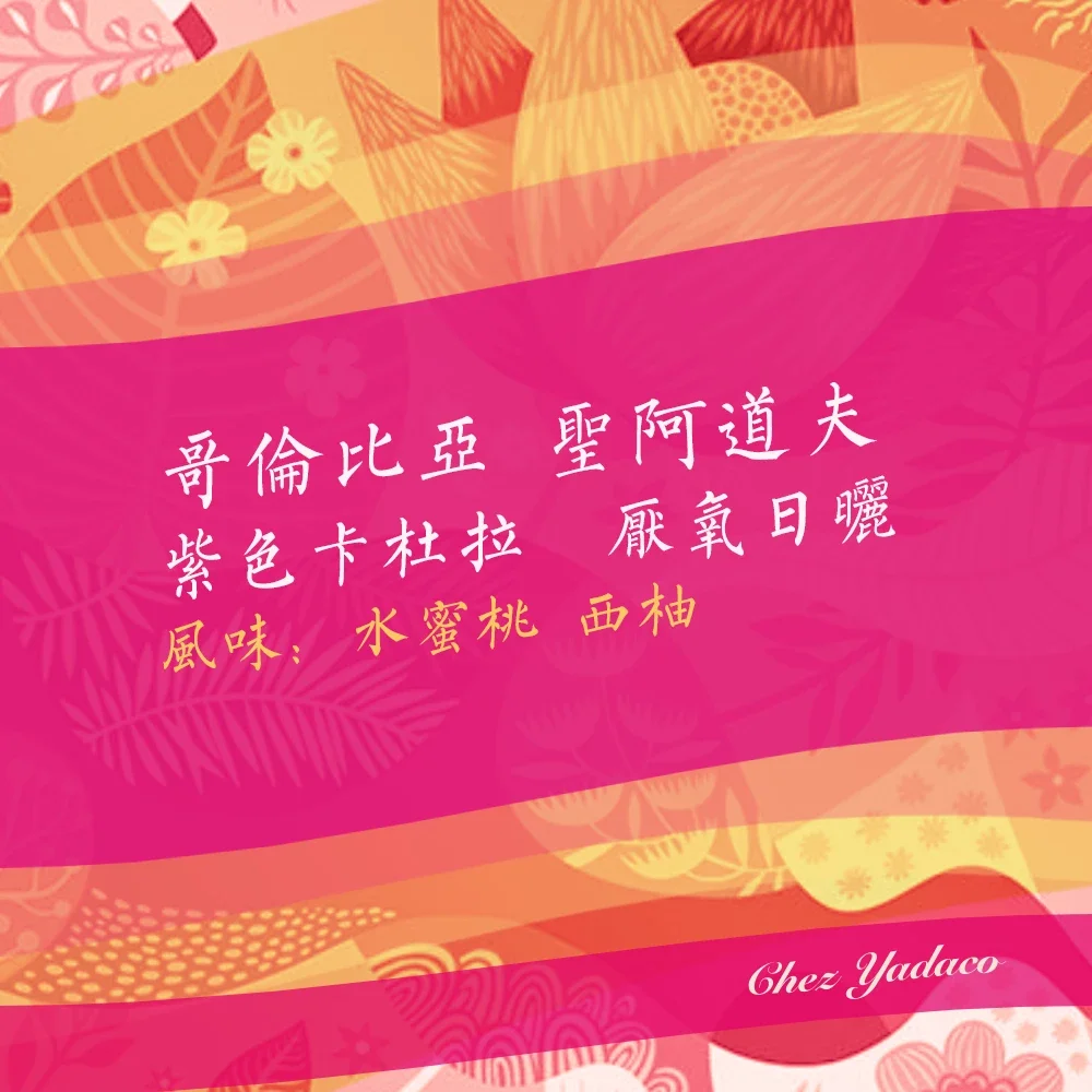 哥伦比亚紫色卡杜拉厌氧日晒手冲精品咖啡豆