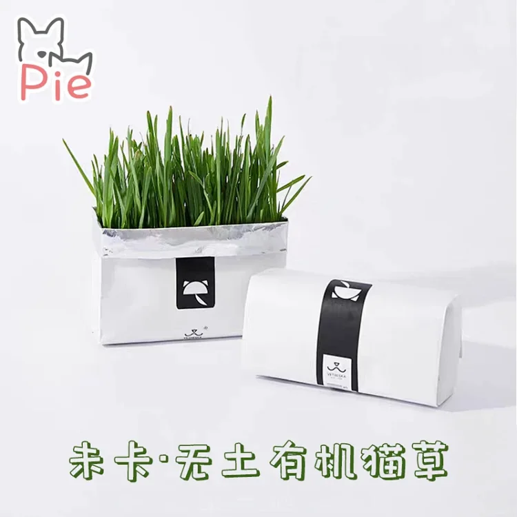未卡vetreska 懒人猫草种子无土壤水培种植套装小麦草猫薄荷零食未卡有机无土猫草末卡燕麦猫草 未卡vetreska 懒人猫草种子无土壤水培种植套装小麦草猫薄荷零食未卡有机无土猫草末卡燕麦猫草