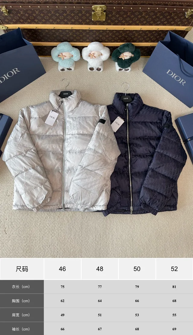 DIOR D家SS2025 秋冬系列 常规款羽绒服