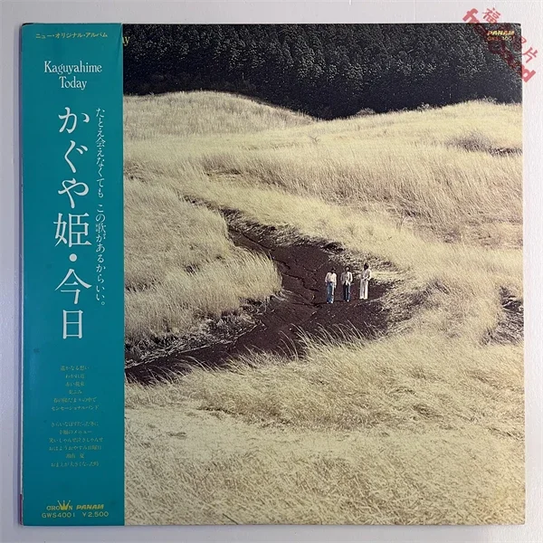 庄野真代Digital Costume