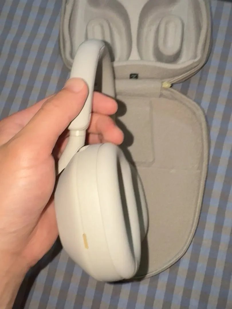 LitBuys Headphones