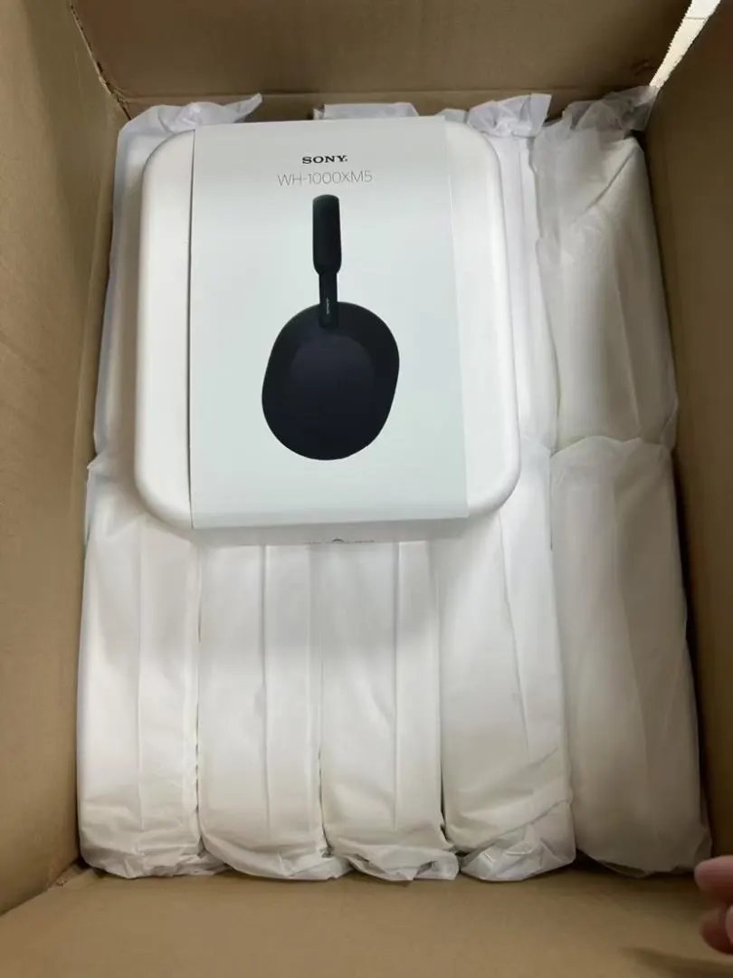 LitBuys Headphones
