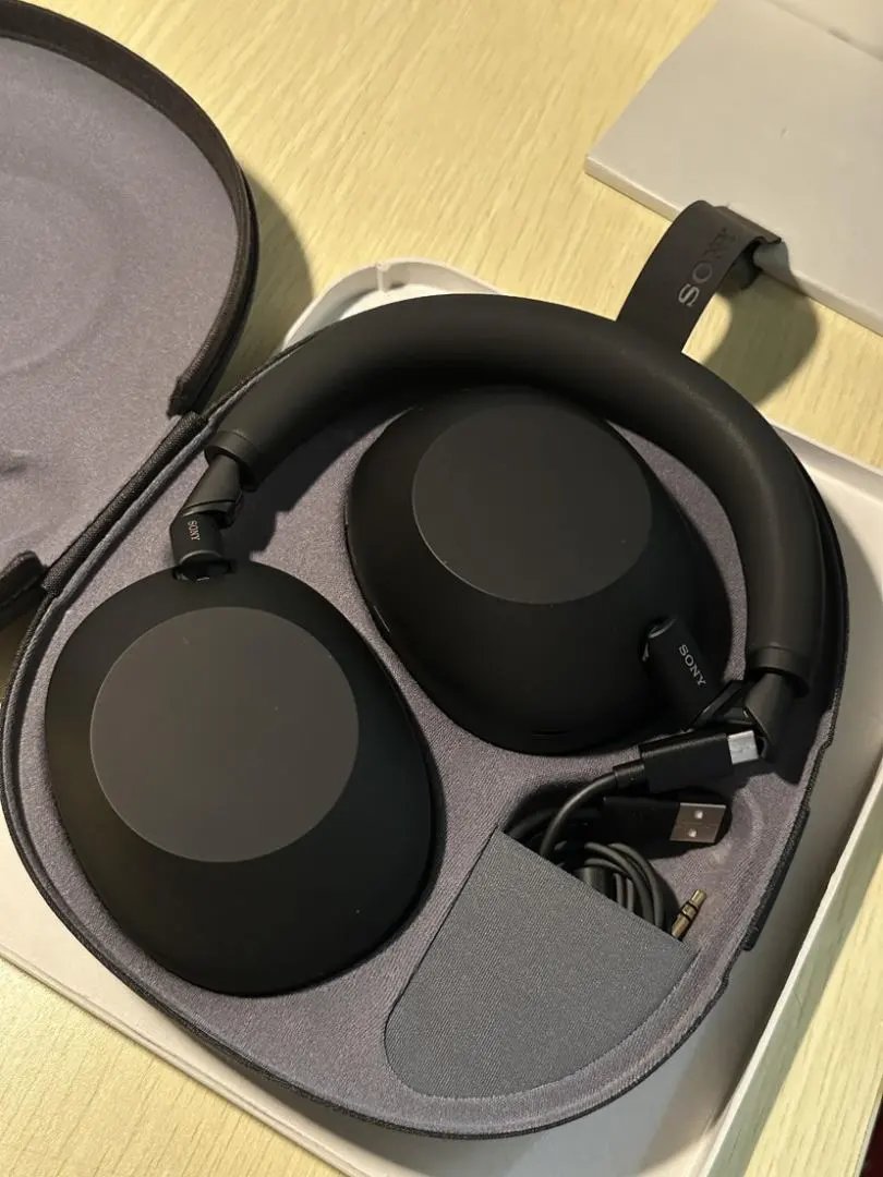LitBuys Headphones