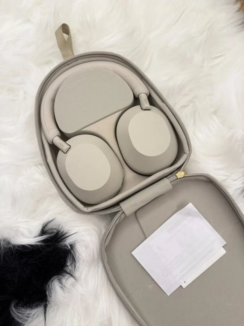 LitBuys Headphones