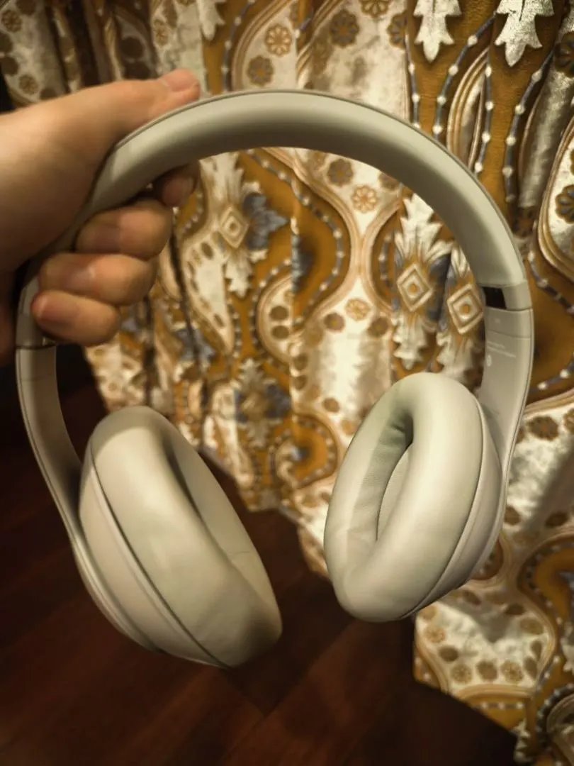 LitBuys Headphones