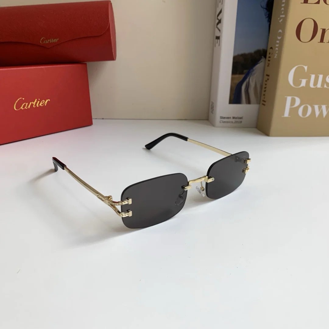 LitBuys Sunglasses