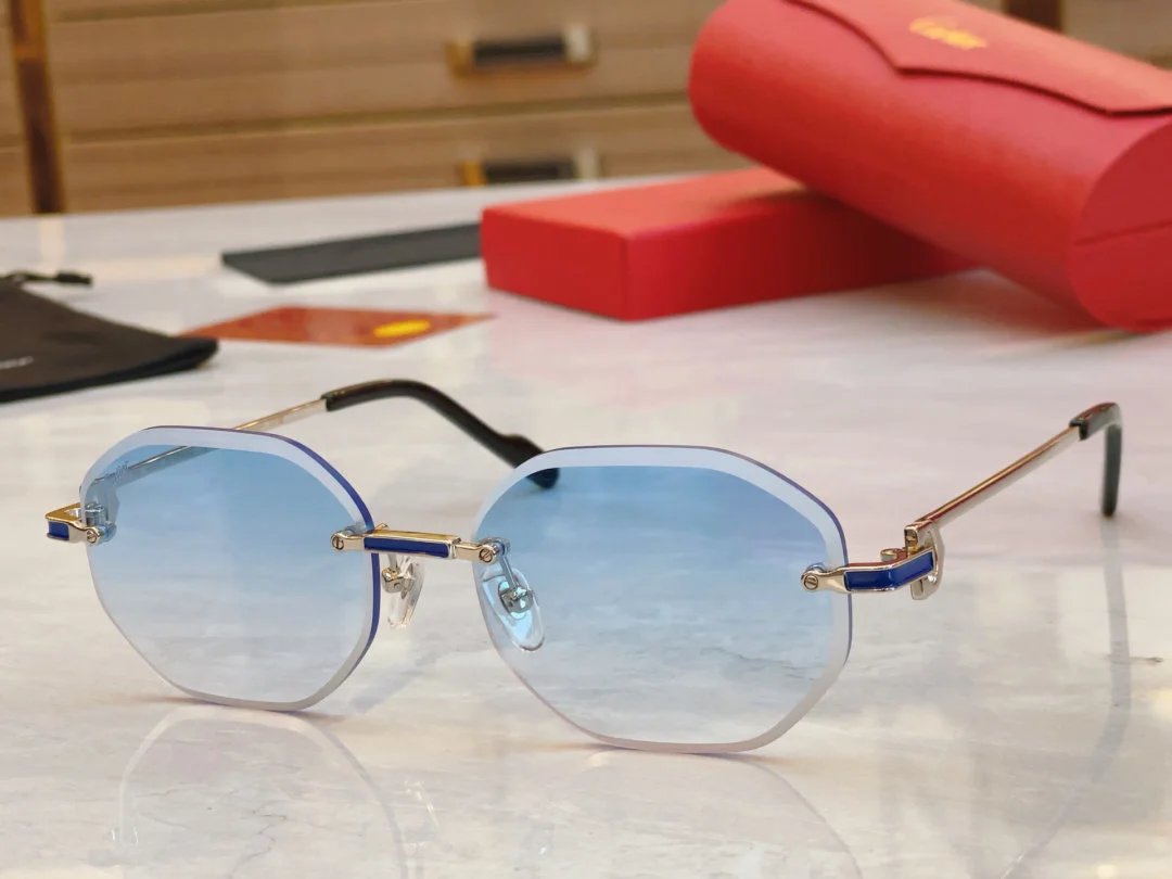 LitBuys Sunglasses