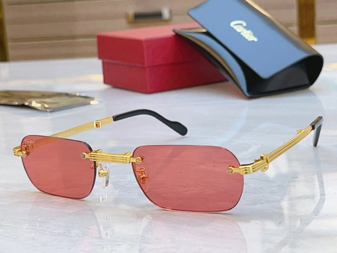 LitBuys Sunglasses