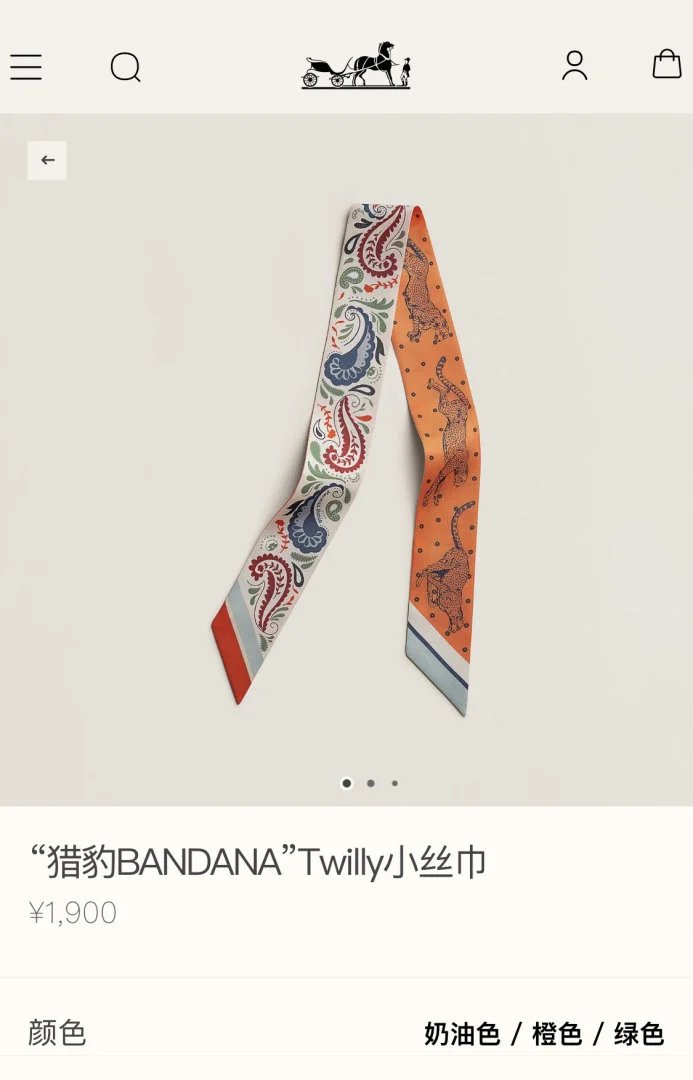 LitBuys Scarves
