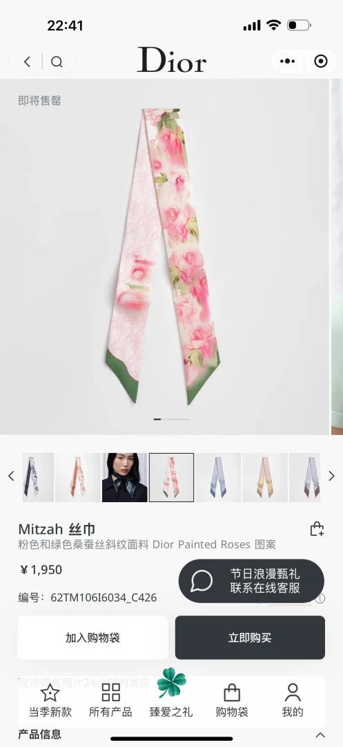 LitBuys Scarves