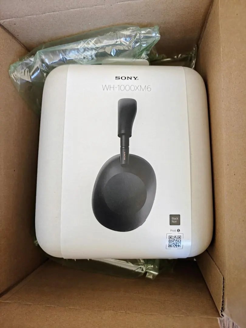 LitBuys Headphones