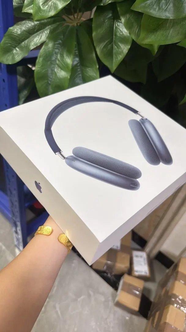 LitBuys Headphones