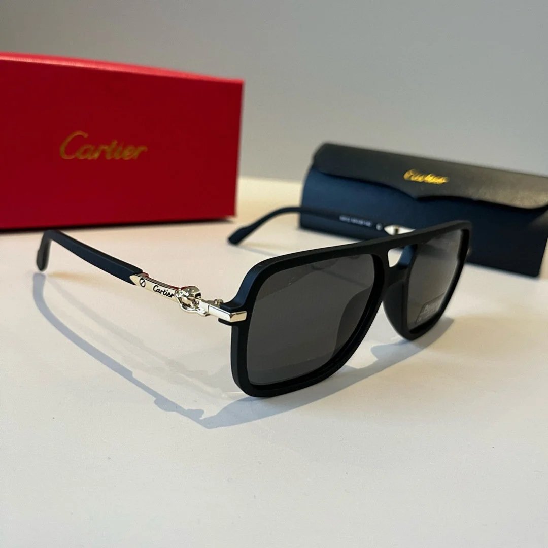 LitBuys Sunglasses