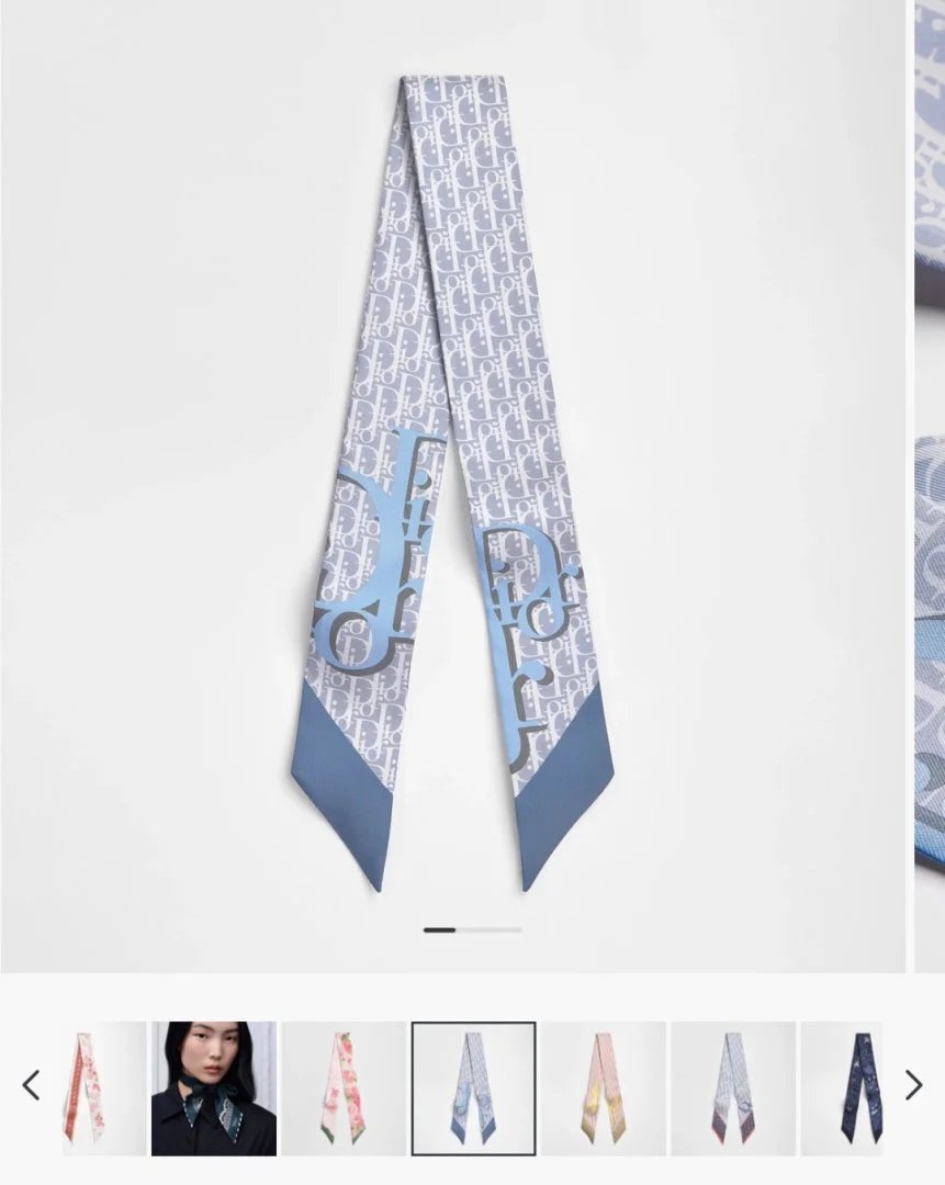 LitBuys Scarves