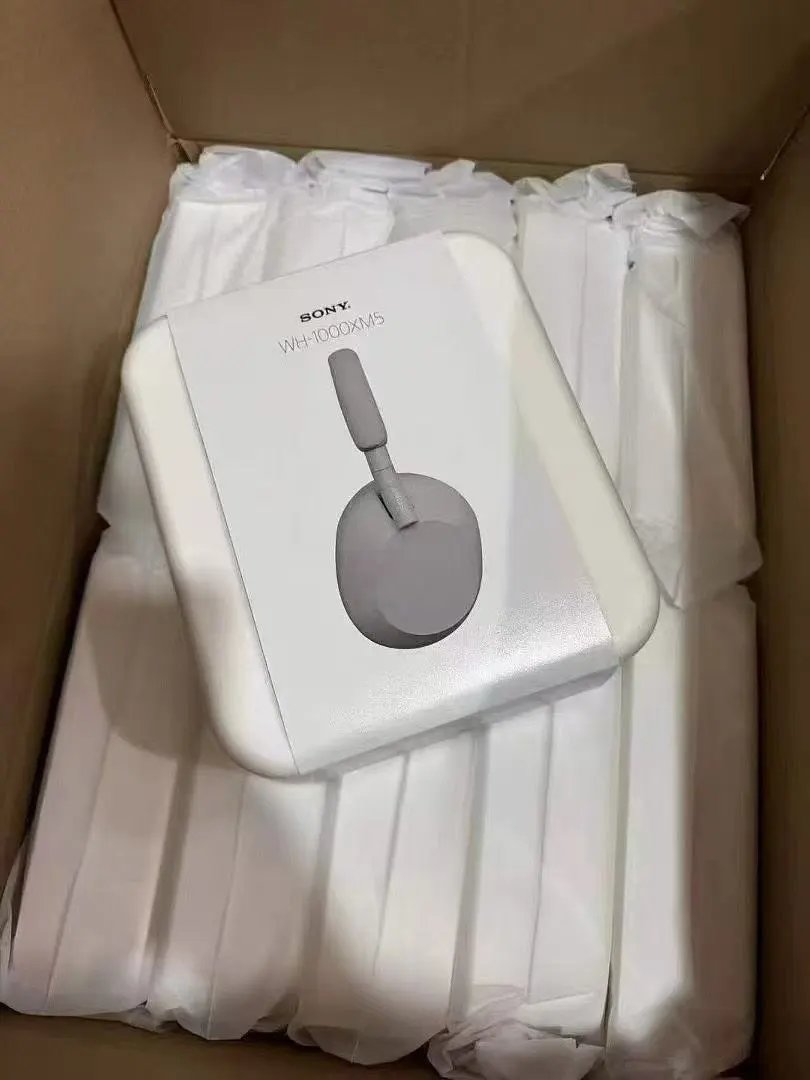 LitBuys Headphones