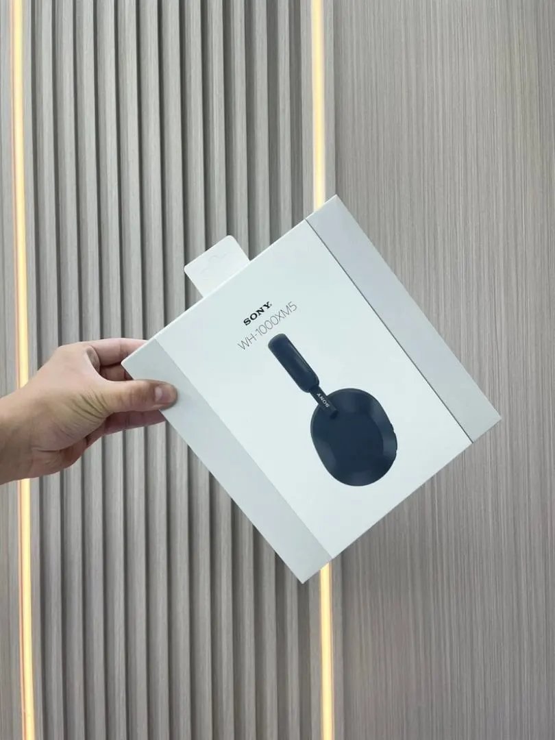 LitBuys Headphones