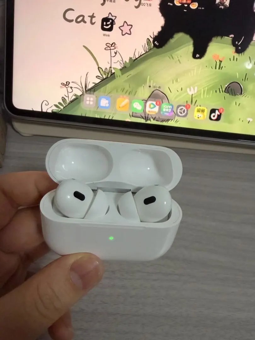LitBuys Headphones