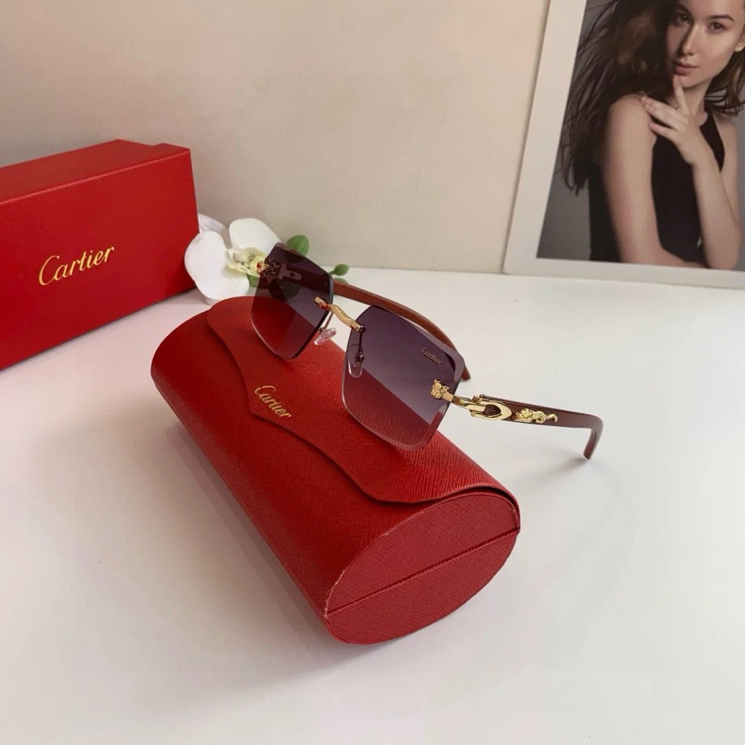LitBuys Sunglasses