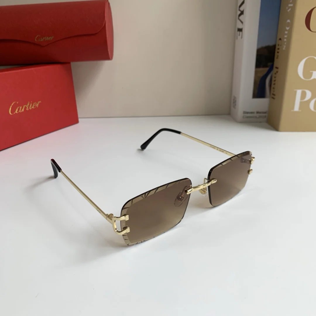 LitBuys Sunglasses