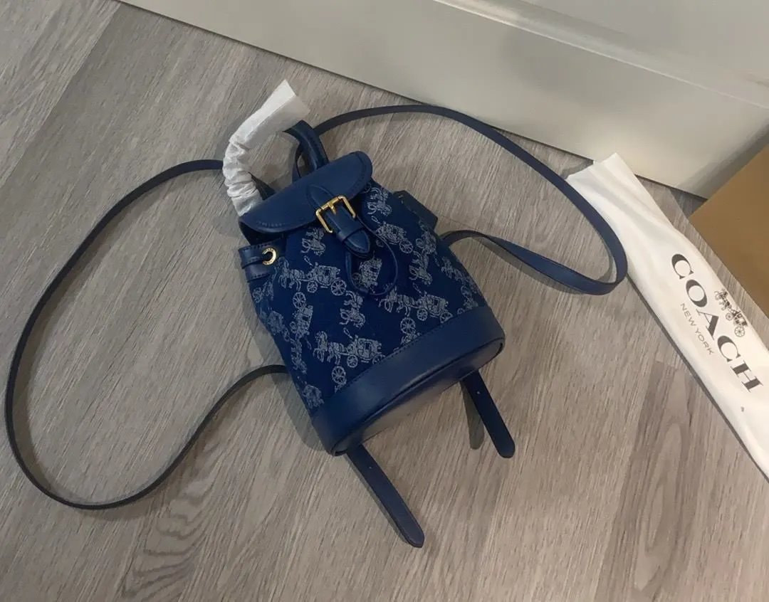 LitBuys Backpack