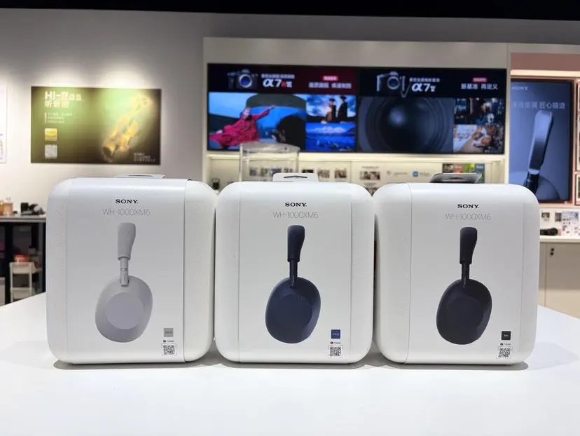 LitBuys Headphones