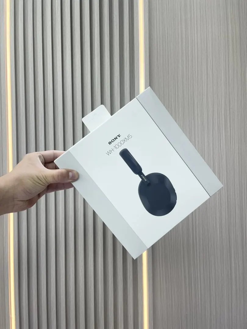 LitBuys Headphones