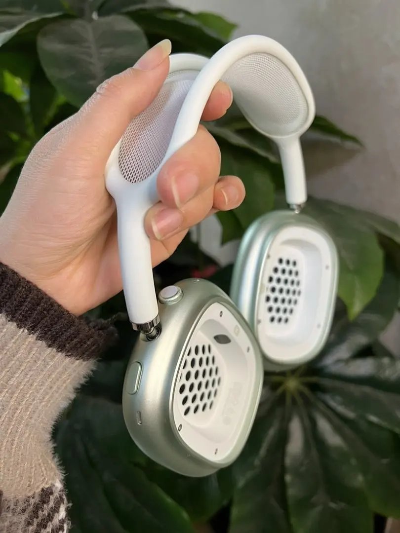 LitBuys Headphones