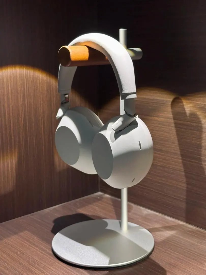 LitBuys Headphones
