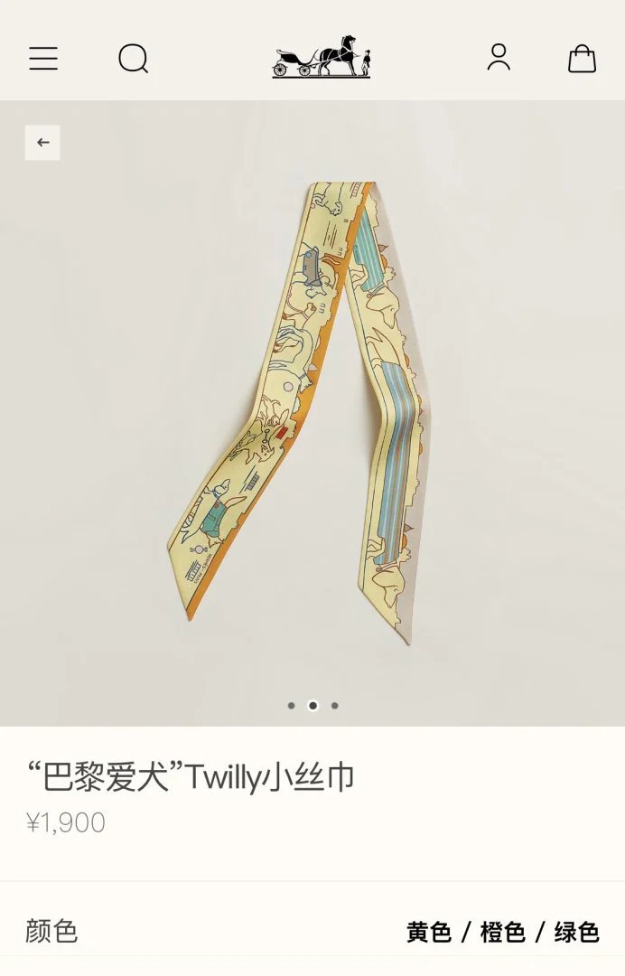 LitBuys Scarves