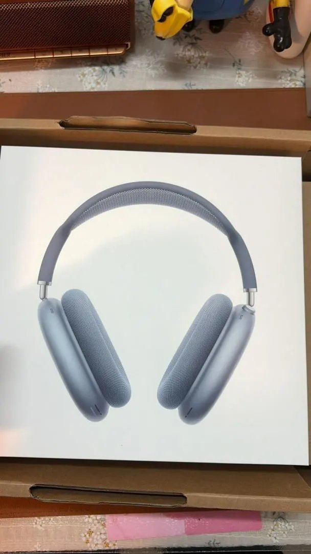 LitBuys Headphones
