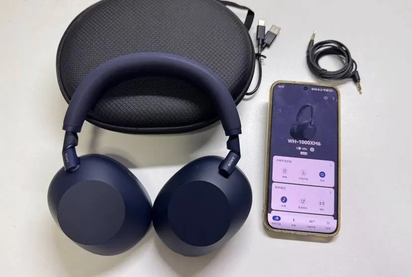 LitBuys Headphones