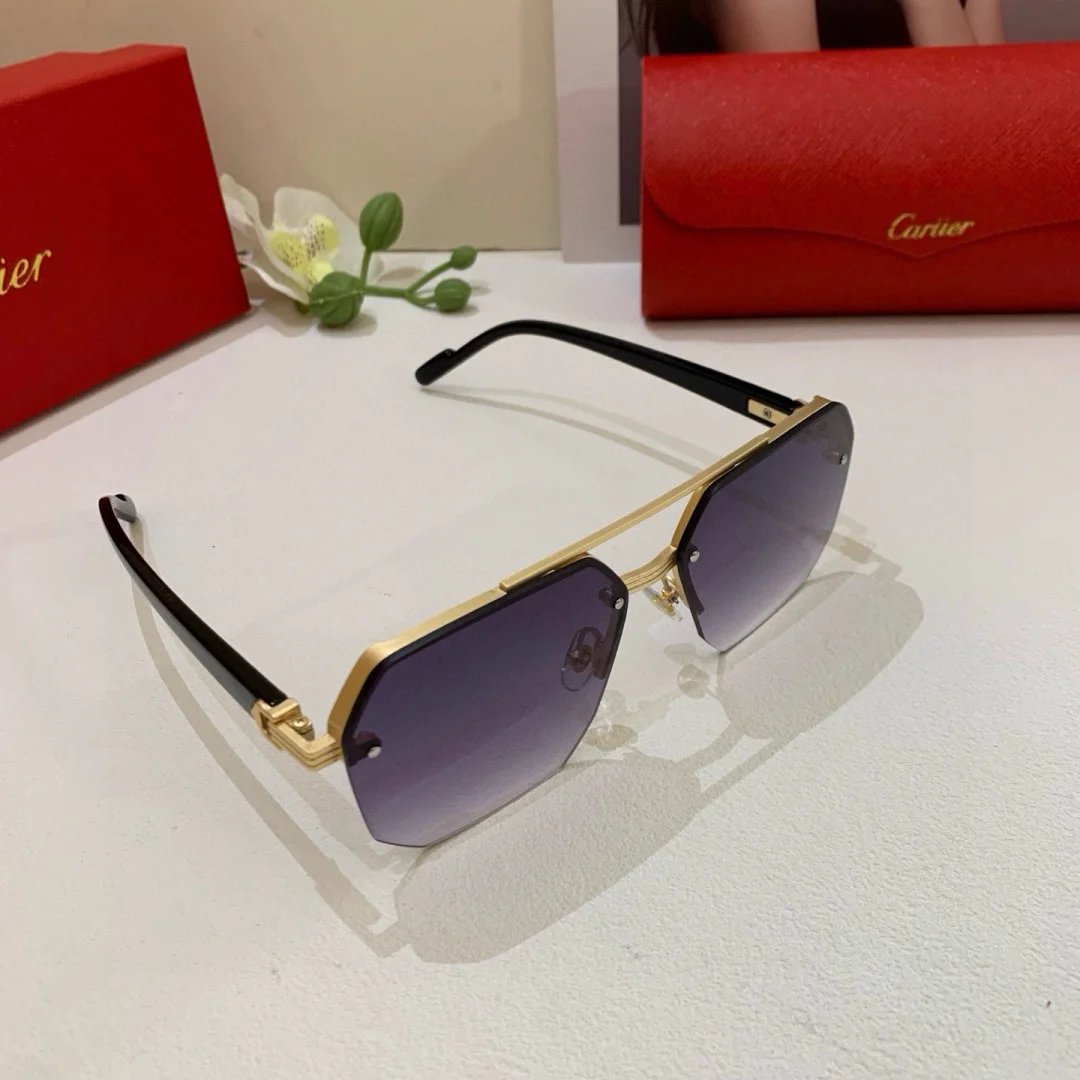 LitBuys Sunglasses