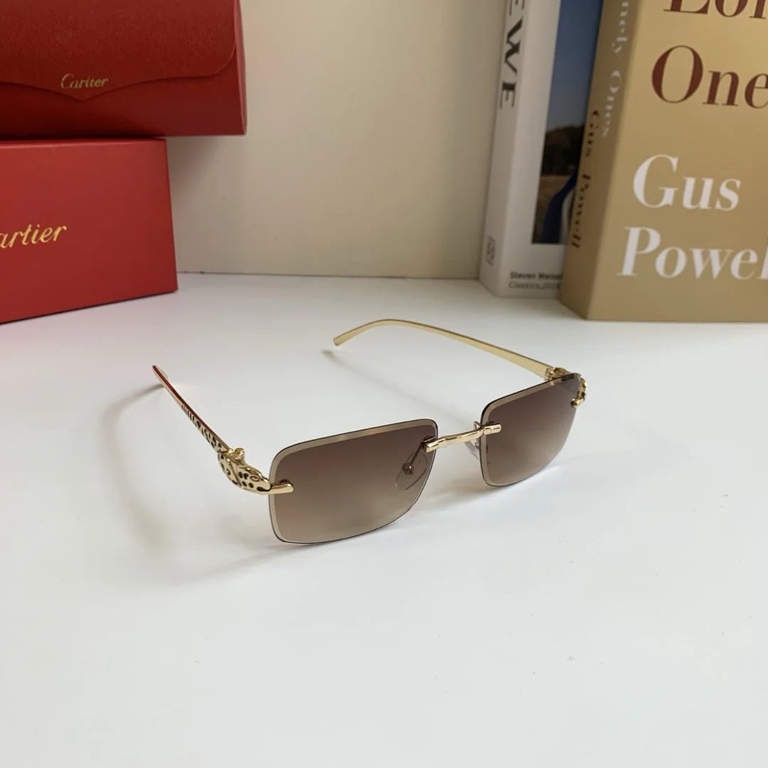 LitBuys Sunglasses