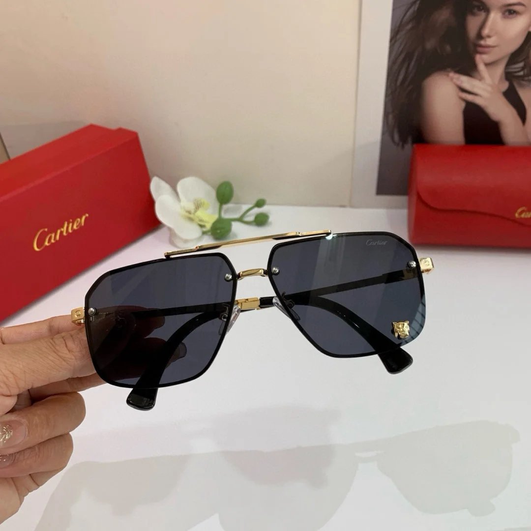 LitBuys Sunglasses