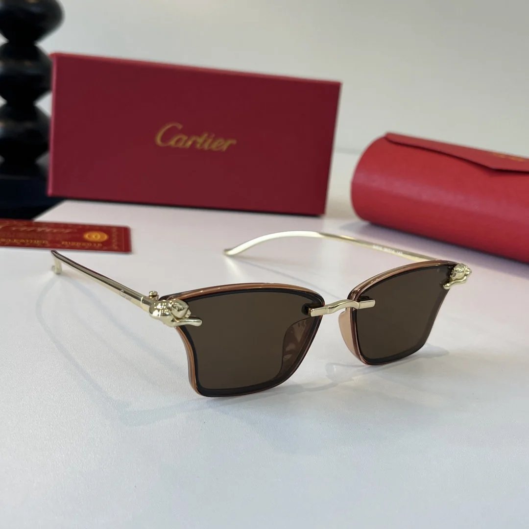LitBuys Sunglasses