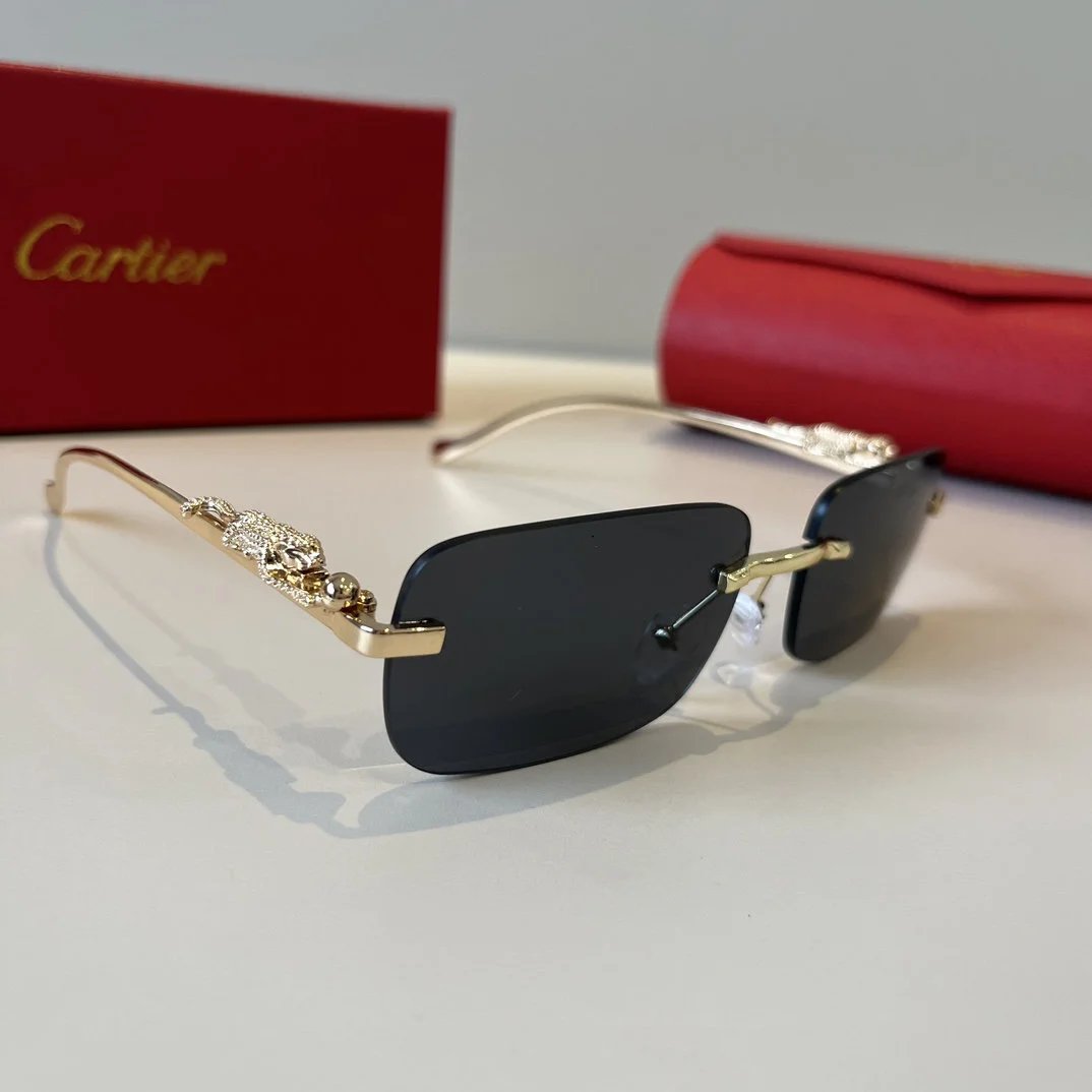 LitBuys Sunglasses
