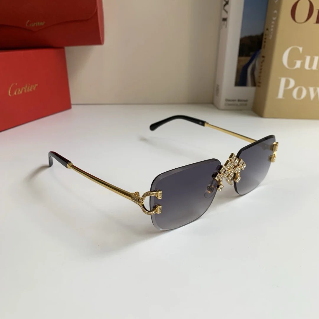 LitBuys Sunglasses
